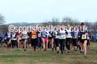 Senior womens Start Fitness NEHL, Aykley Heads, Durham. Photo: David T. Hewitson/Sports for All Pics